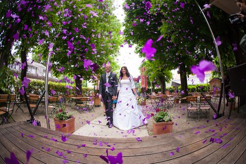 0004_Einzug_Loka_Bunte_Schmetterlinge_Wedding_Simkup_Hochzeit.jpg